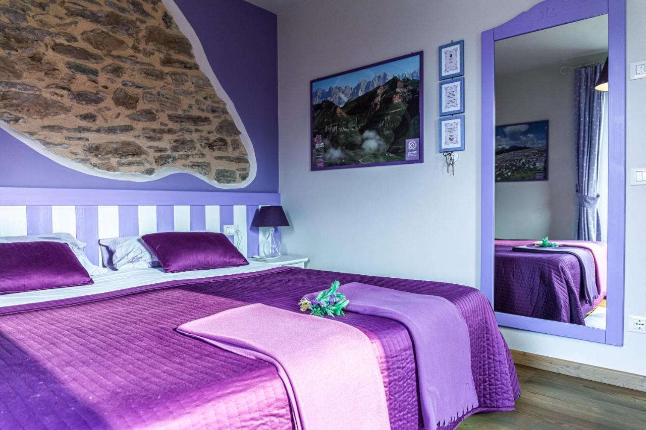 Casa Novecento Bed & Breakfast Feltre Exterior photo